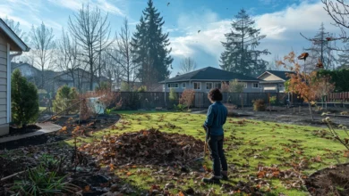 Comment se préparer aux feux de forêt : protéger votre maison efficacement contre les flammes et les risques
