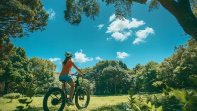 Guide d&rsquo;achat : bien choisir son vélo électrique pour des balades sans limites et en toute confiance